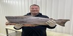 Чавыча тушка шоковой заморозки с Камчатки