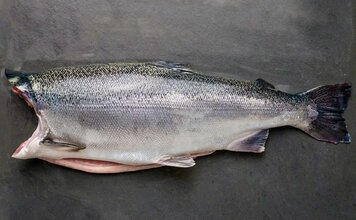 Чавыча тушка шоковой заморозки с Камчатки
