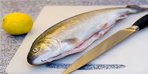  Голец тушка шоковой заморозки 2026 год