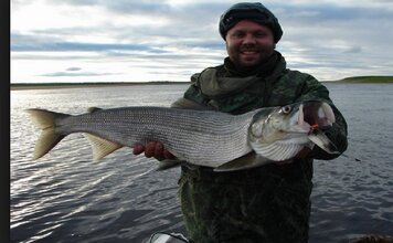 Белорыбица свежемороженая