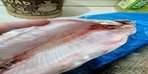 Муксун тушка шоковой заморозки