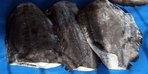 Палтус тушка шоковой заморозки крупный 2026 года