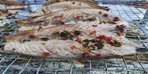 Скумбрия горячего копчения оптом от 50 килограмм