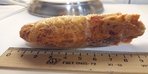 Креветка «Медведка» 500 грамм