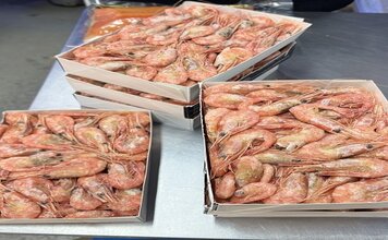 Креветка северная Промфлот с Сахалина