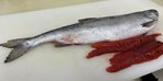 Горбуша тушка свежемороженая Камчатка ожидаем