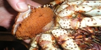 Икра камчатского краба