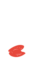 Моллюски