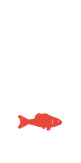Рыба