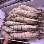 Креветка тигровая с головой 8-12 штук 