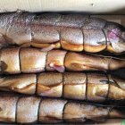 Форель Карельская холодного копчения 